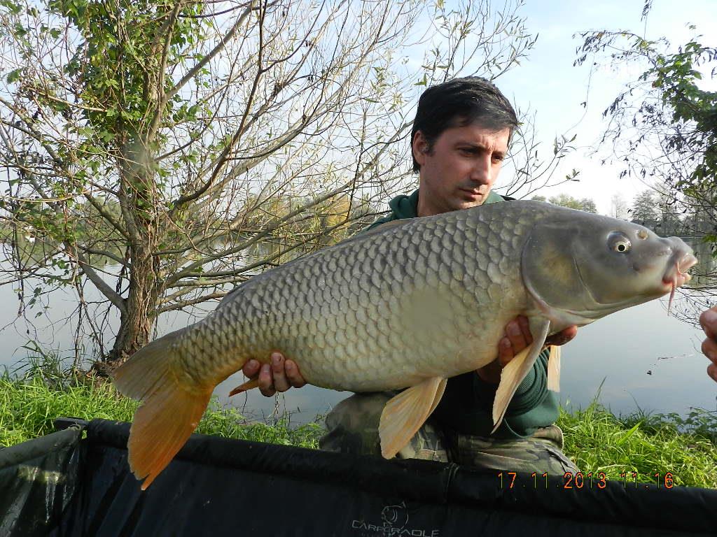 15 noiembrie 2013 - dscn1825.JPG